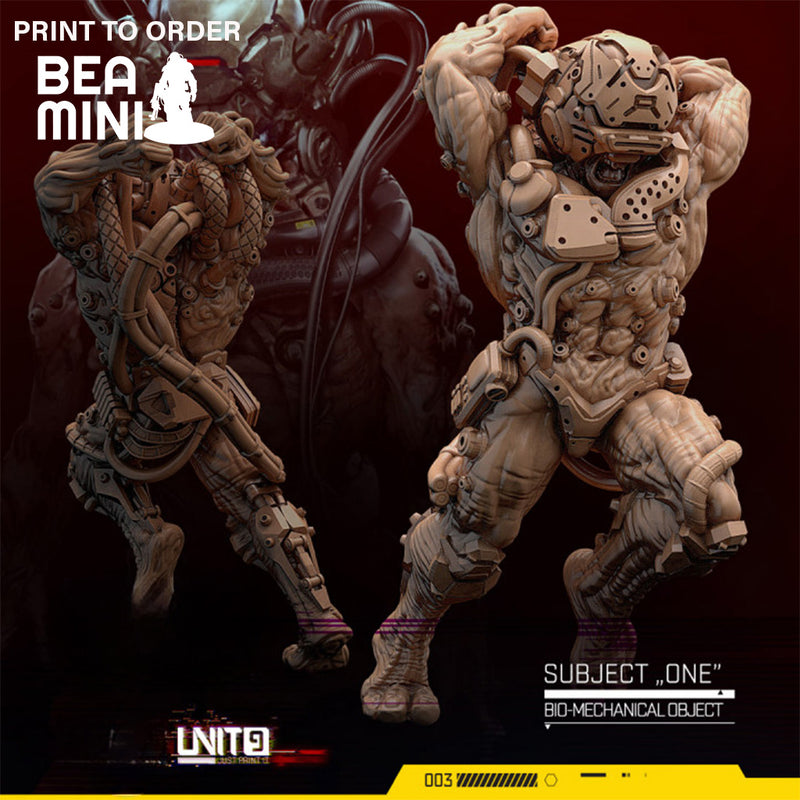 Subject One | BeaMini Print to Order Miniatures