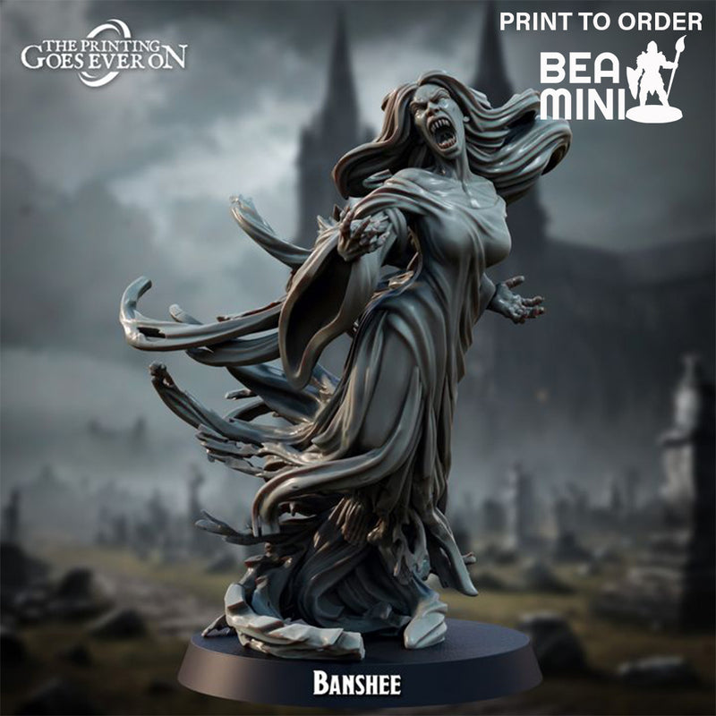 Banshee | BeaMini Print to Order Miniatures