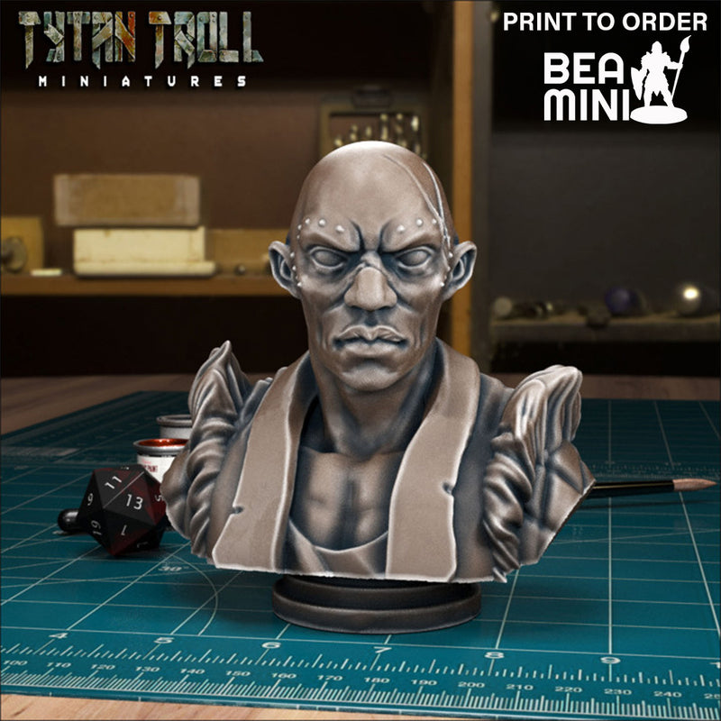 Curse of Strahd - Emil Toranescu Bust | BeaMini Print to Order Miniatures