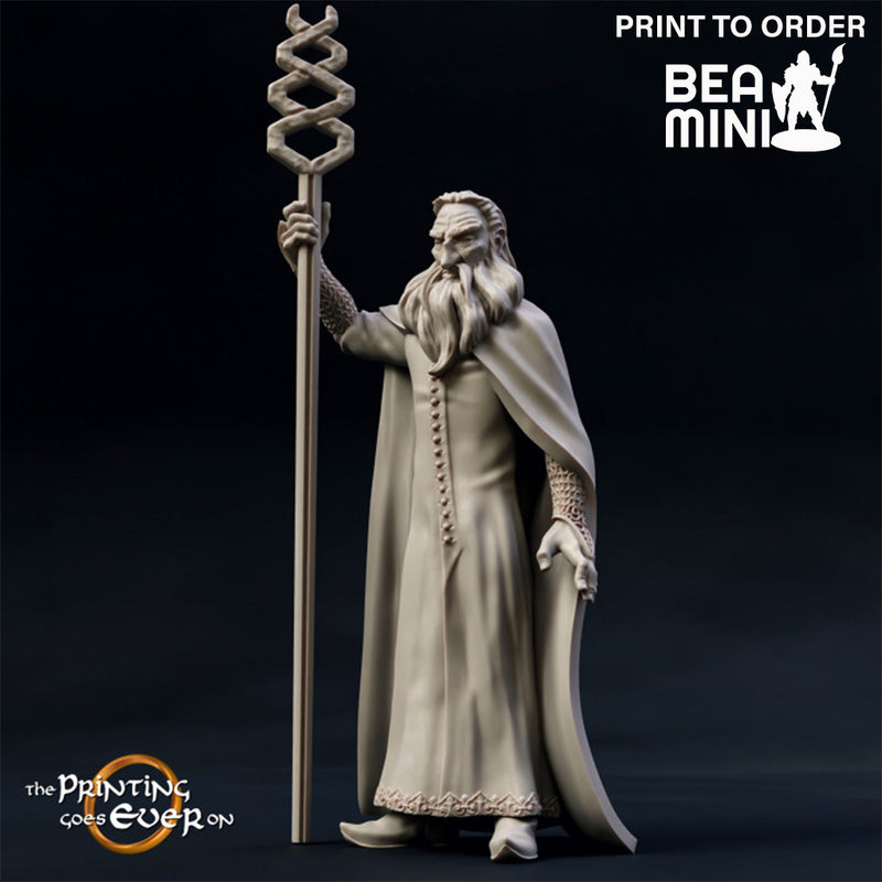 Saligastir The Wizard | BeaMini Print to Order Miniatures