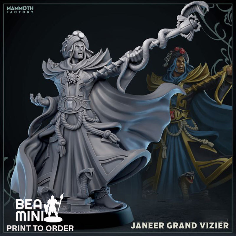 Janeer, Grand Vizier | BeaMini Print to Order Miniatures