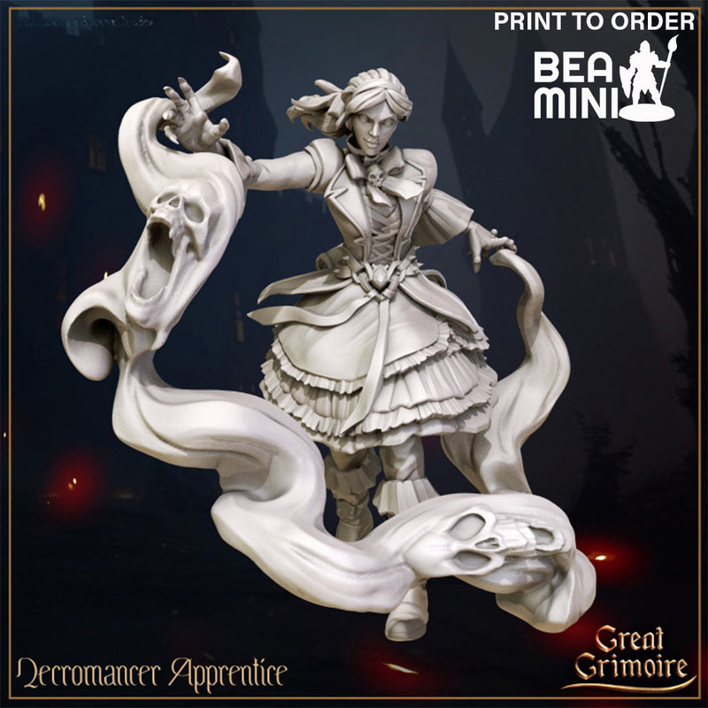 Necromancer Apprentice | BeaMini Print to Order Miniatures