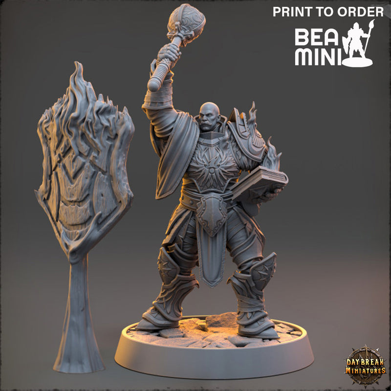 Stormlord Nicko Cinderwhisper - The Protectors of the Cleansing Fire | BeaMini Print to Order Miniatures