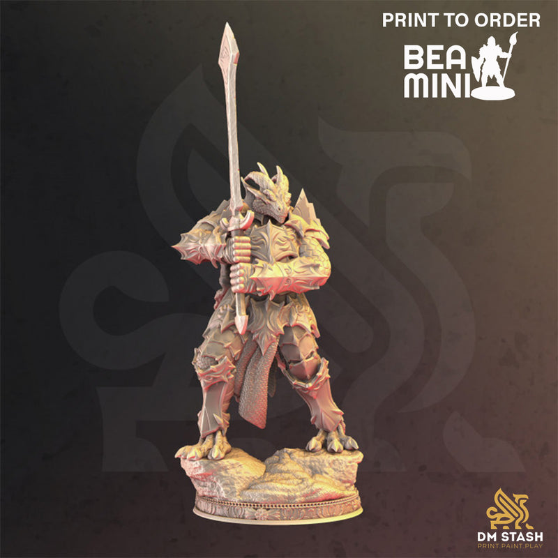 Krimmdar - Dragonborn Paladin | BeaMini Print to Order Miniatures