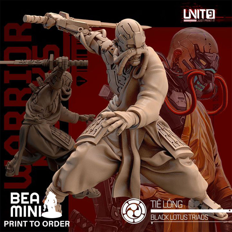 Tie Long - Black Lotus Triad Warrior Monks | BeaMini Print to Order Miniatures