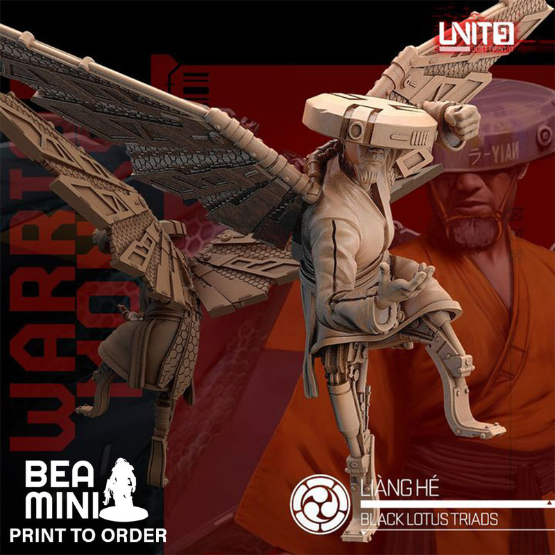 Liang He - Black Lotus Triad Warrior Monks | BeaMini Print to Order Miniatures