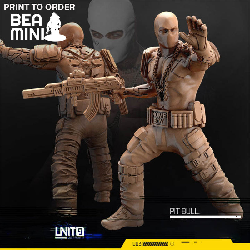 Pitbull | BeaMini Print to Order Miniatures