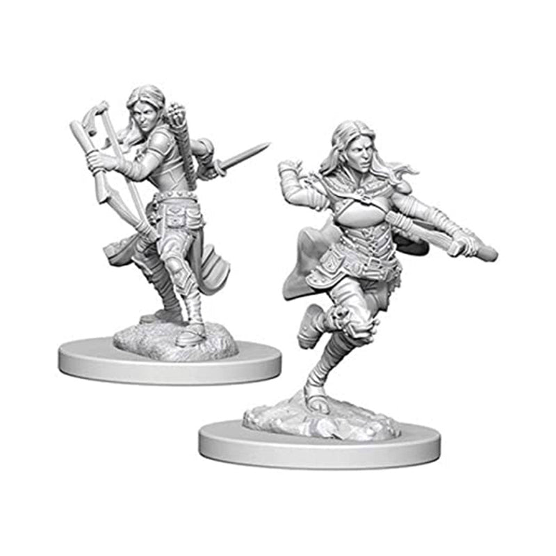 Air Genasi Rogue (Female) Nolzurs Marvelous Unpainted Miniatures - Bea DnD Games