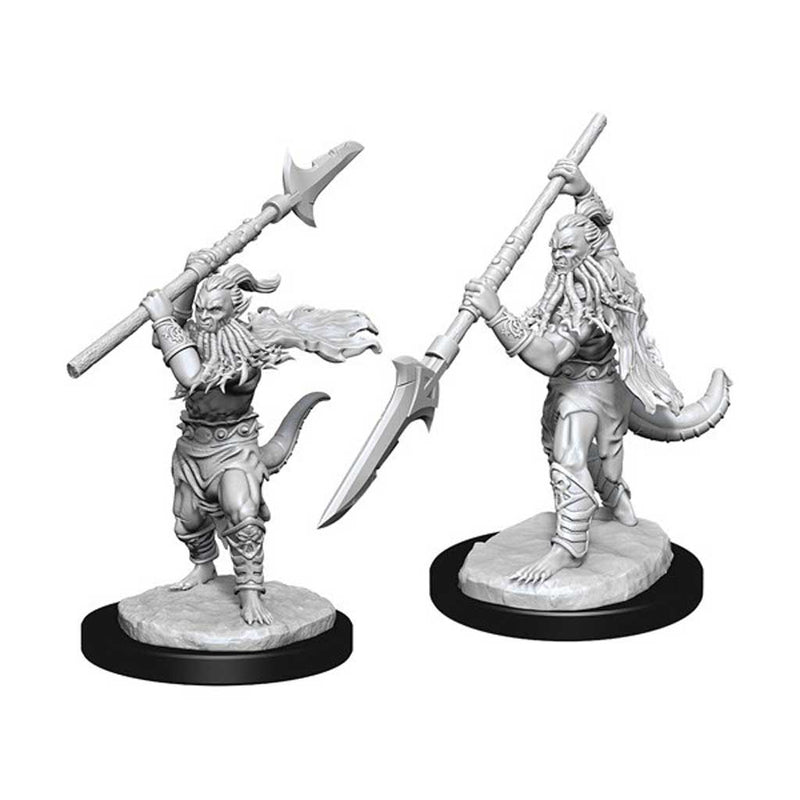 Bearded Devils Nolzur's Marvelous Unpainted Miniatures - Bea DnD Games