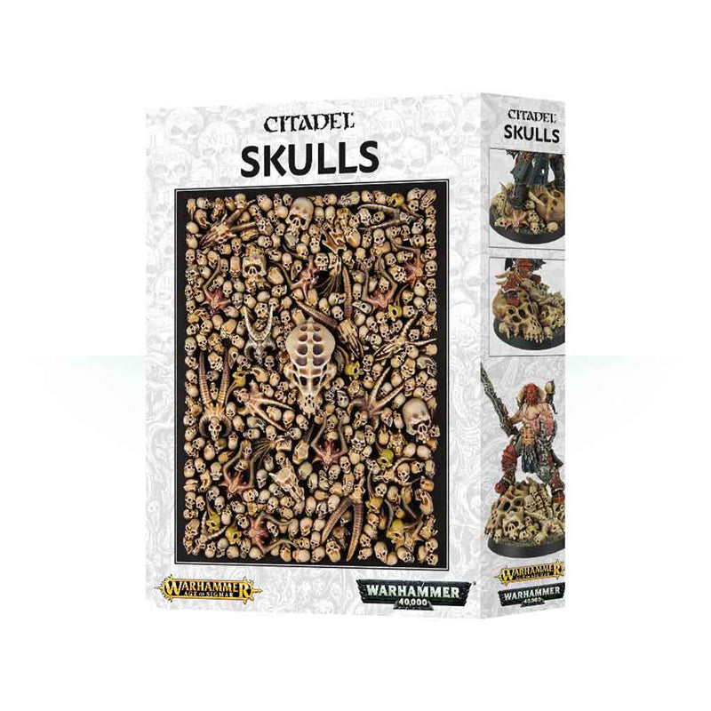 Citadel Skulls - Bea DnD Games