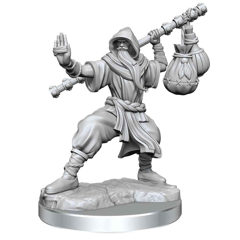 D&D Frameworks Human Monk Male - Bea DnD Games