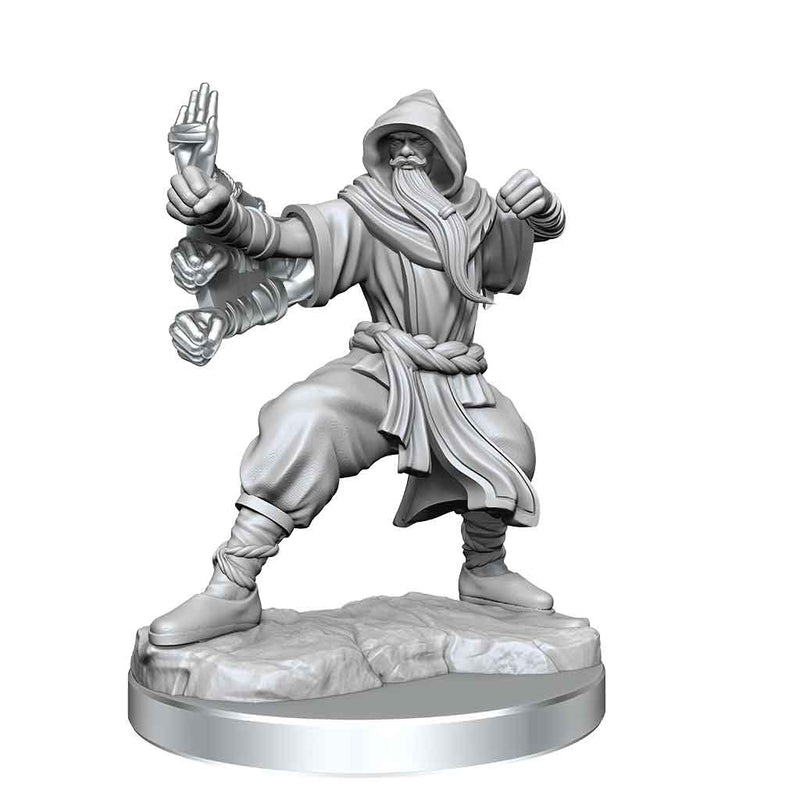 D&D Frameworks Human Monk Male - Bea DnD Games