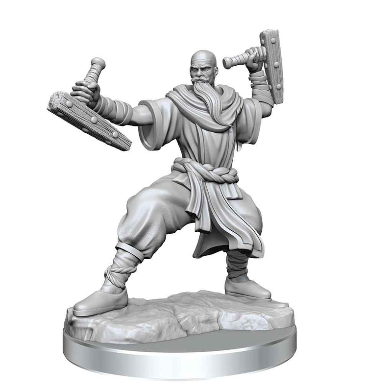 D&D Frameworks Human Monk Male - Bea DnD Games